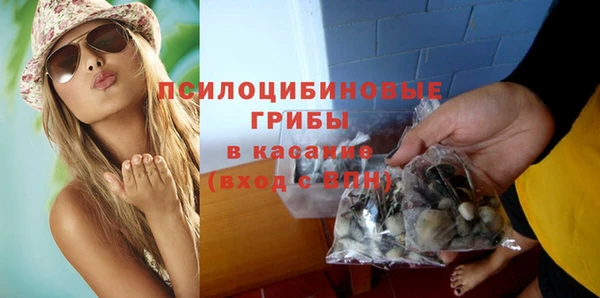 ПСИЛОЦИБИНОВЫЕ ГРИБЫ Алексин