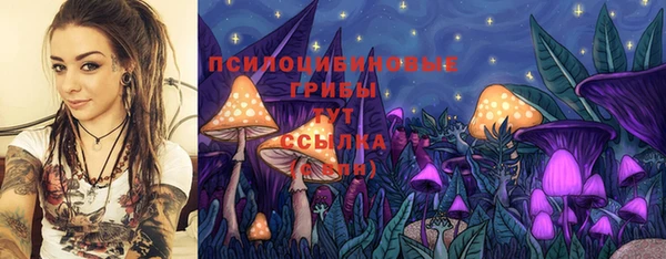ПСИЛОЦИБИНОВЫЕ ГРИБЫ Алексин