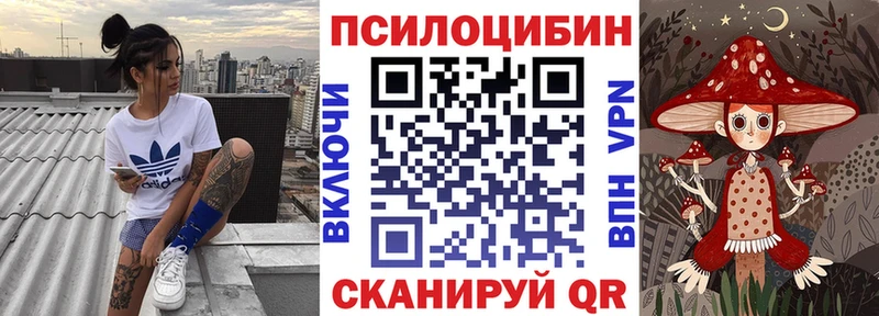 Псилоцибиновые грибы мицелий  ссылка на мегу как войти  Королёв 